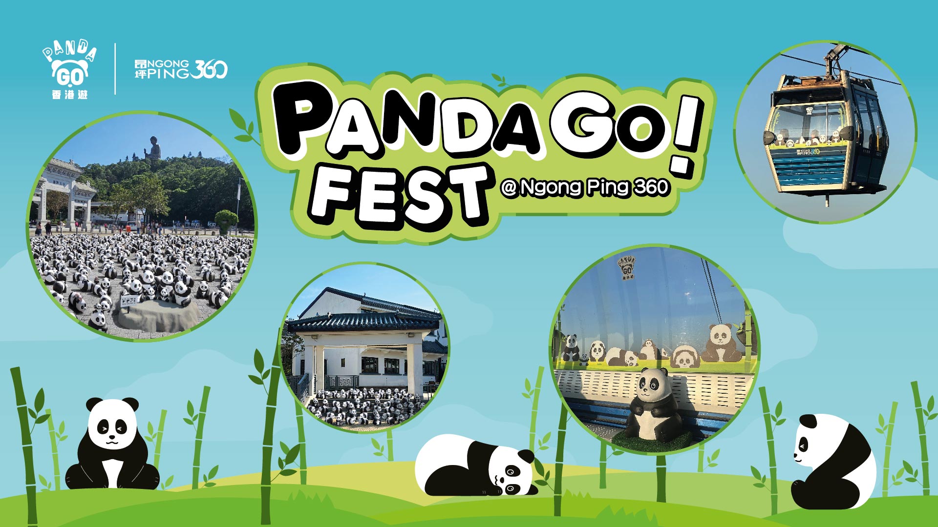 NP360 Panda Go 2024 Website 6 1920X1080 EN