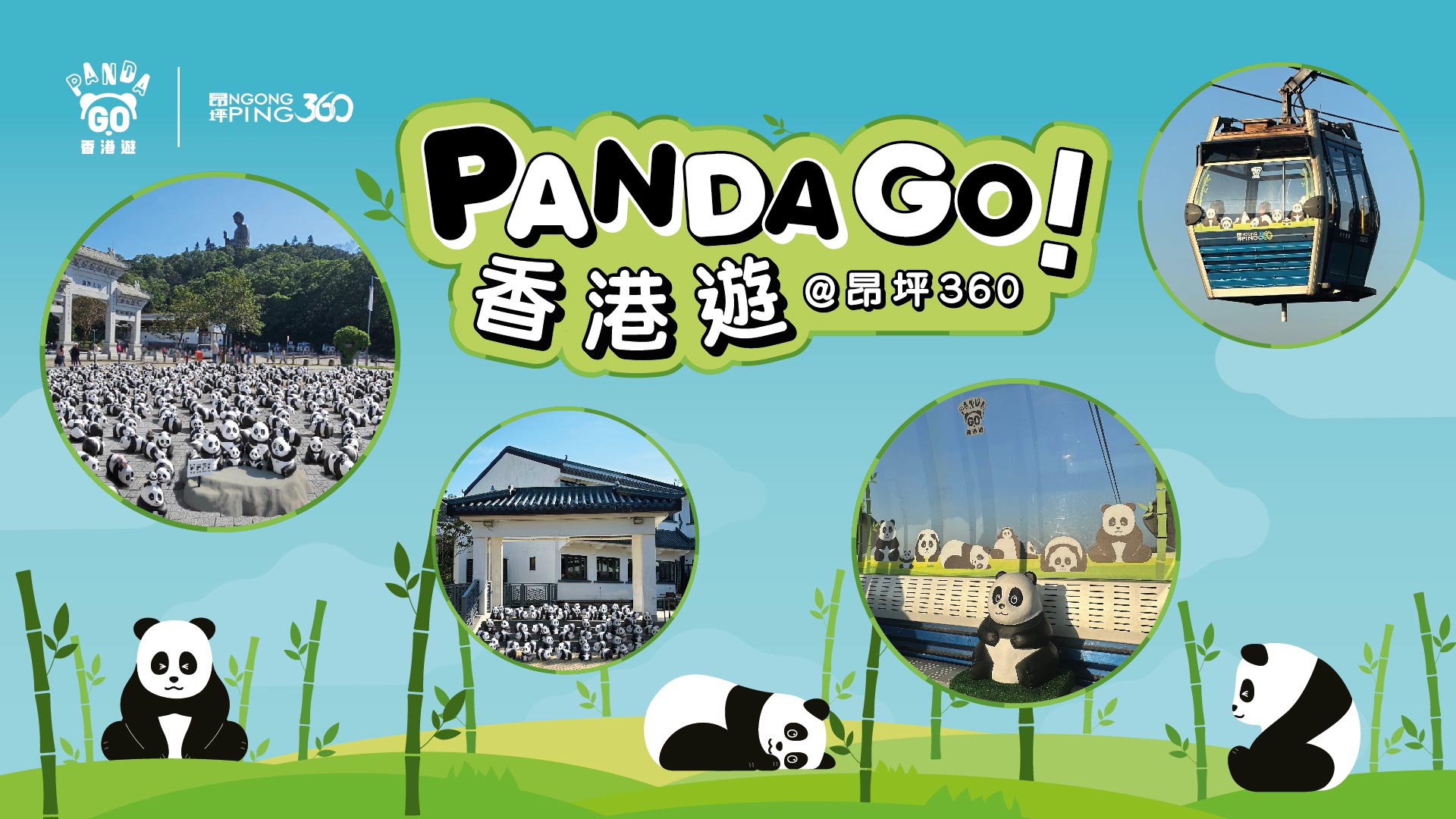 NP360 Panda Go 2024 Website 6 1920X1080 TC